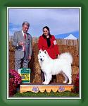bow_bos_oct_2003 * 436 x 536 * (52KB)