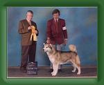 Star-Gp3-Hochelaga1 * 500 x 397 * (15KB)