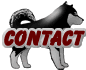 contact us