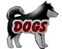 Our dogs