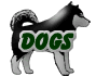 Our dogs