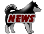 latest news