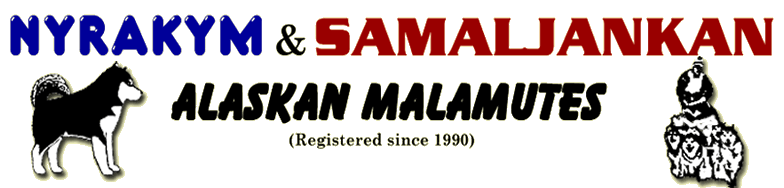 Nyrakym & Samaljankan Malamutes